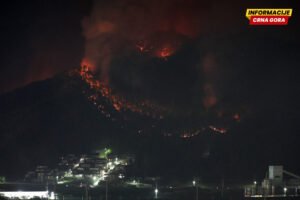 Požari u Japanu: Više od 3.000 evakuisanih u prefekturi Ivate