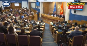 Bjeković: Institucionalna podrška osobama sa autizmom mora biti snažnija