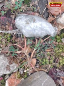 Krivična prijava protiv tri maloljetnika, policija pronašla pakovanje marihuane koje su izbacili iz vozila