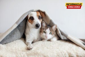 Ljubimci iz Crne Gore u EU bez testa na bjesnilo