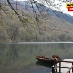Krivične prijave protiv dvije osobe na sjeveru zbog građenja objekata bez dozvole u zoni NP Biogradska gora i u Petnjici