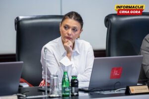 Kordić putuje u Zimbabve