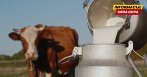 Obustava otkupa mlijeka ugrozila oko 400 malih proizvođača, rješenju se nadaju u ponedjeljak