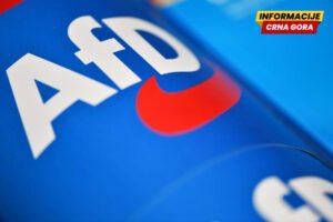 AfD porastao na rekordnih 28 odsto, pokazuje anketa INSA