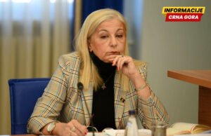 Despotović: Ovo više nije greška nego politika