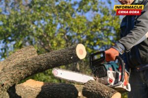 Podnijete krivične prijave zbog šumske krađe