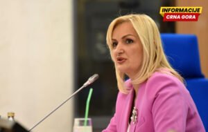 SEP predao predlog inicijative za razrješenje Jelene Borovinić…