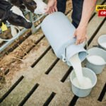 Na javni poziv za skladištenje i preradu viška mlijeka niko se…