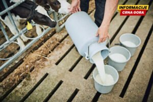 Na javni poziv za skladištenje i preradu viška mlijeka niko se…