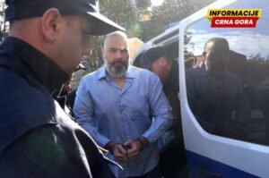 U četvrtak završne riječi u postupku protiv Danila Mandića