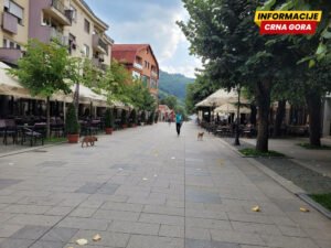 Bijelo Polje: Državna inspekcija potvrdila nelegalno odlaganje…