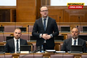 Ćulafić: Ekološki kriminal opustošio budžet Crne Gore za tri…