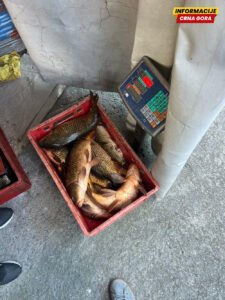 U Golubovcima oduzeta riba zbog nelegalne prodaje, jedna osoba…