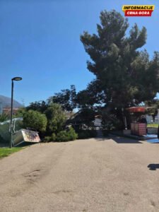 Bar: Stablo se srušilo na šetalištu, Komunalno upozoravalo Morsko dobro na opasnost