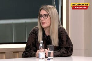 Tomanović: Za uvođenje sistema ranog upozorenja na zemljotrese potrebno najmanje 500.000 eura