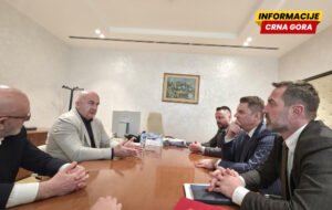 Razgovarali o pronalaženju modela za efikasniju organizaciju čišćenja trasa dalekovoda