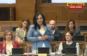 Nišić: Povećanje roditeljskog odsustva na 14 mjeseci pozitivna…