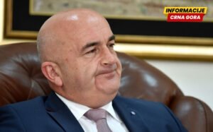 Nastavljen ping-pong sa domaćim šumama: Nove izmjene Zakona o...