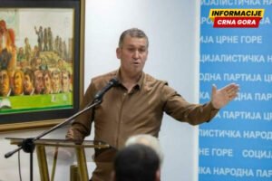 Peruničić: Zelenika mora biti prepoznata kao prioritet u planovima priključenja na novu infrastrukturu