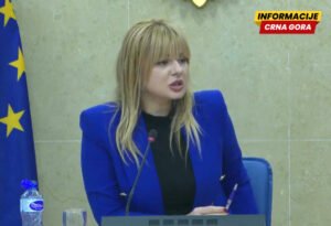 Nedović: Kad si privatni medij, ne možeš mi reći da radiš za državu i u ime istine, nego ko zna koga