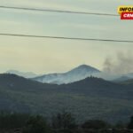 Šumski požar u Lješanskoj nahiji, vatra ne prijeti kućama