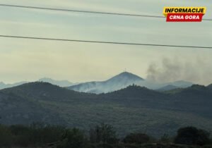 Šumski požar u Lješanskoj nahiji, vatra ne prijeti kućama