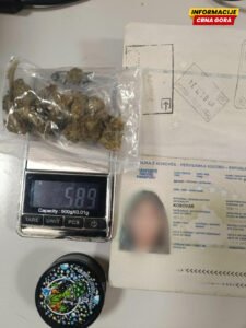 Uhapšena državljanka Kosova, službeni pas pomogao policajcima da pronađu drogu