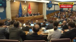 Sve tanja granica između žustre rasprave u Skupštini i potpunog…