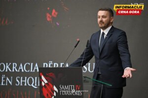 Dukaj: Dijaspora mora biti dio donošenja odluka