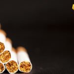 Sklanjaj robu, dolazi policija: Optužnica protiv grupe Mujovića -…