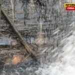 Hiljade sitnih riba prkosi gravitaciji penjući se uz vodopad u…