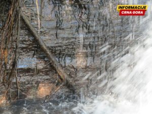 Hiljade sitnih riba prkosi gravitaciji penjući se uz vodopad u…