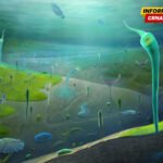 Kineski fosili otkrivaju iskonski nalet evolucije životinja