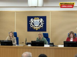 Borovinić Bojović: Kada inicijativa za moju smjenu dobije dovoljan broj potpisa odbornika zakazaću sjednicu