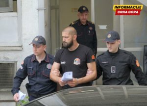 Određeno zadržavanje uhapšenim u međunarodnoj akciji “Spektakular”