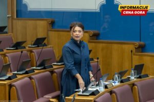 Kordić: Crna Gora bezbjedna i atraktivna destinacija