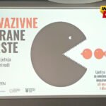 Šteta za prirodu, zdravlje, ekonomiju: Crna Gora ove godine počinje monitoring invazivnih vrsta