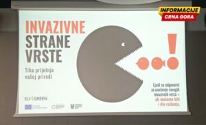 Šteta za prirodu, zdravlje, ekonomiju: Crna Gora ove godine počinje monitoring invazivnih vrsta