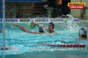 Crnogorci pokupili individualne nagrade: Gojković MVP, Mršić najbolji strijelac, Đurović golman