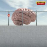 Ispod providnog vela: O ideologiji i ciničnom umu