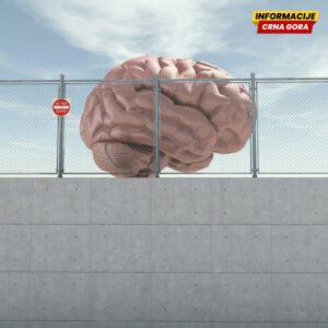 Ispod providnog vela: O ideologiji i ciničnom umu