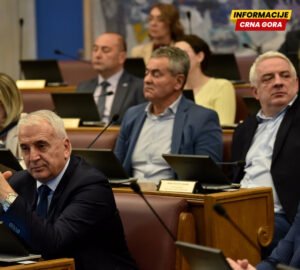 Šume, pašnjaci i državni poslovi: Imovinski kartoni poslanika Nove srpske demokratije