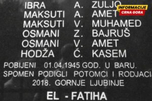 Potraga za uzrocima tragedije