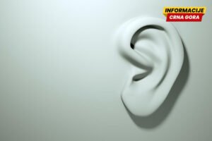 Dvije optužnice ne govore sve: VDT o rezultatima primjene mjera tajnog nadzora