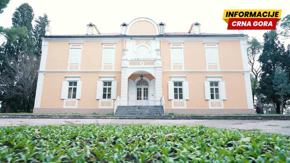 PES predložio novi zakon o dinastiji Petrović: Sad ne traže...