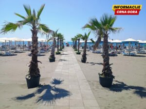 Škrelja: Alabar nije imao ozbiljne namjere