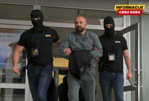 SDT naredilo istragu protiv kriminalne grupe “škaljarca” Stefana…