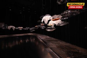 Crnogorska postavka sa Bijenala arhitekture u Veneciji stiže u Nikšić