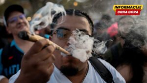 Velika promjena u Sjedinjenim Državama: Proširena upotreba kanabisa