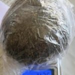 Oduzeto skoro 200 grama marihuane, procesuirane četiri osobe u…